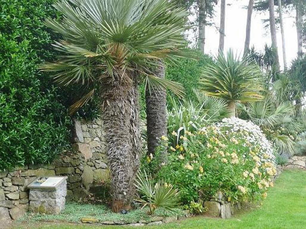 130 Ile de Batz Jardin Georges Delaselle_000004.jpg